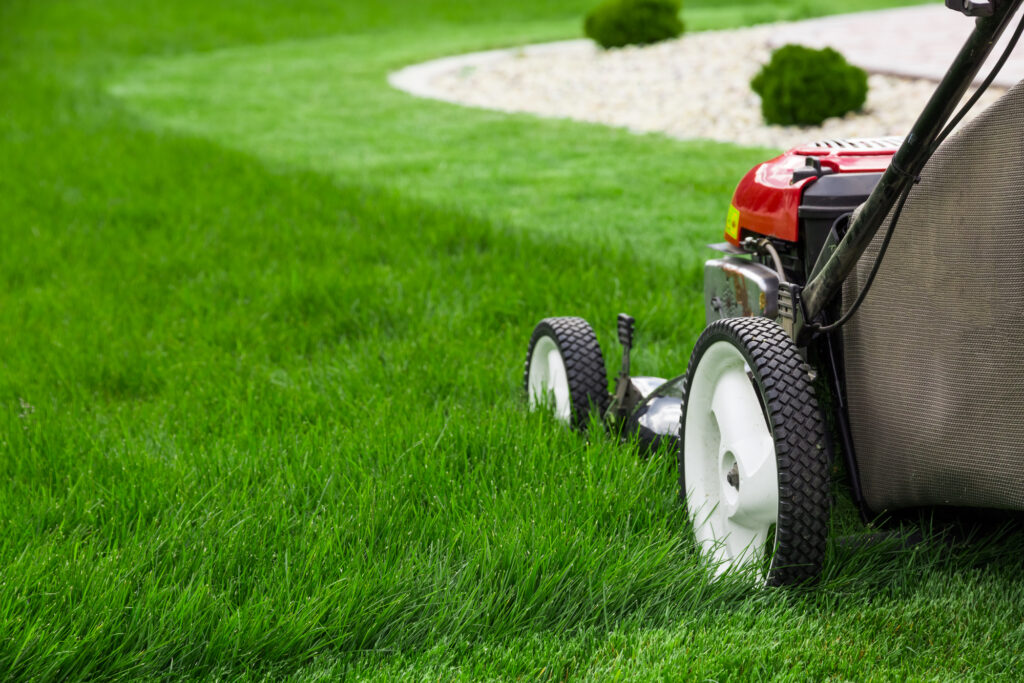 Lawn Mowing and Lawn maintenance service